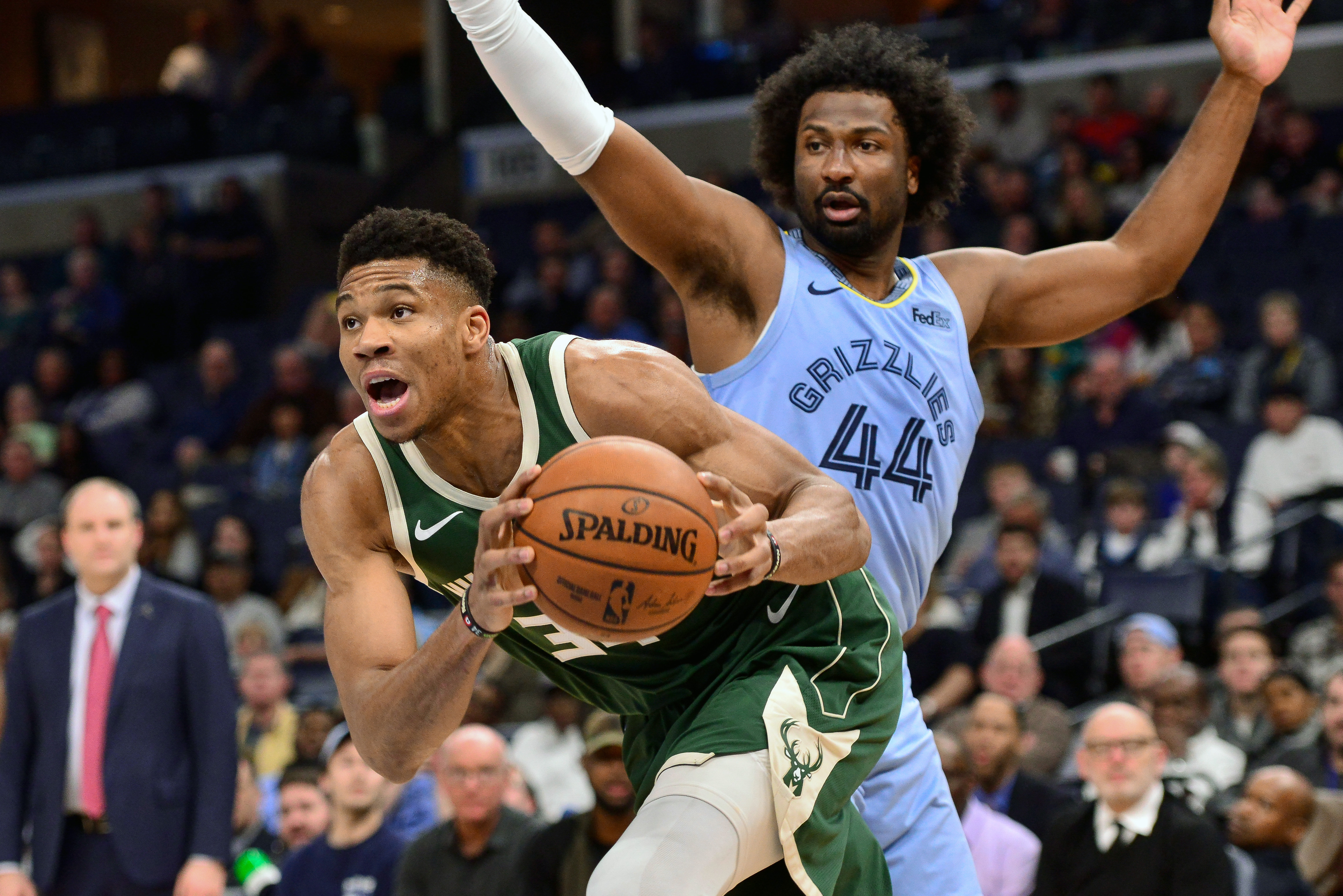 包含雄鹿遭遇公牛激战险胜收获胜利的词条