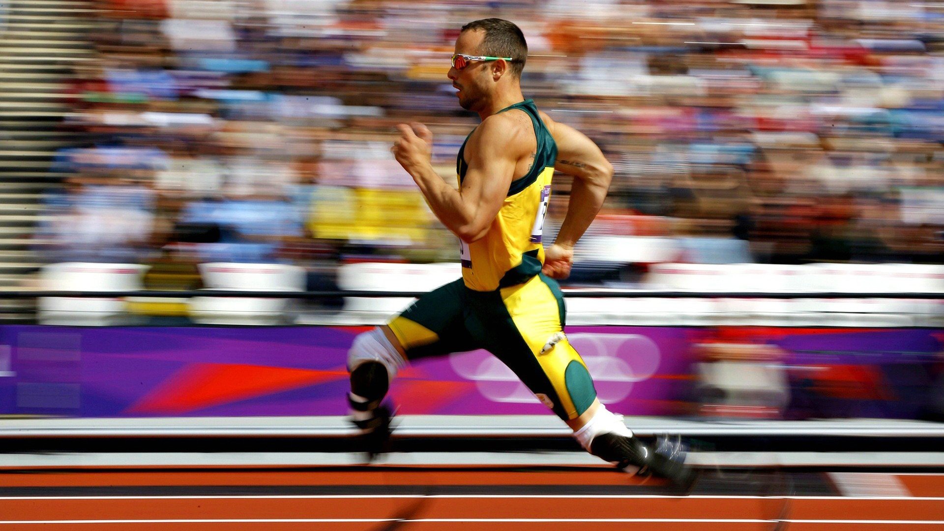 马龙点燃赛场，波兰队完胜法国队，一场颠覆预期的乒乓盛宴